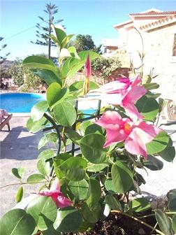 casa vacanza mare posizione collinare con piscina affitto
