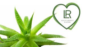 Lavoro nel benessere make-up