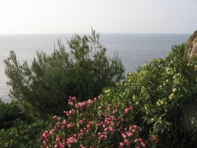 Affittasi appartamento in villa signorile a strapiombo sul mare.