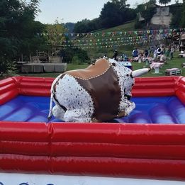 Noleggio Toro Meccanico con Operatore