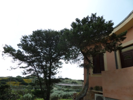 Sassari Nurra villetta indipendente di Mq 110 sul mare !!!