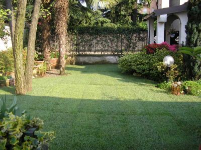 ZOLLE DI PRATO PER REALIZZARE IL TUO GIARDINO IN 24 H
