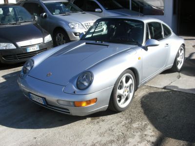 Grifo