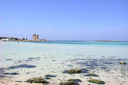 VACANZE AL MARE NEL SALENTO IN MASSERIA DEL 1700