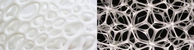 WORKSHOP INARCH  ALGORITHMIC DESIGN AND BIO-MORPHOLOGIES LAB Exploring Bio- Mimicry