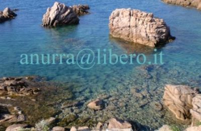 Sardegna:Costa Paradiso � affittasi villino
