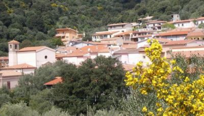 SARDEGNA appartamento a 4km dalle spiagge di Budoni