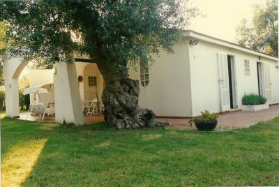 vacanze sul mare di Puglia