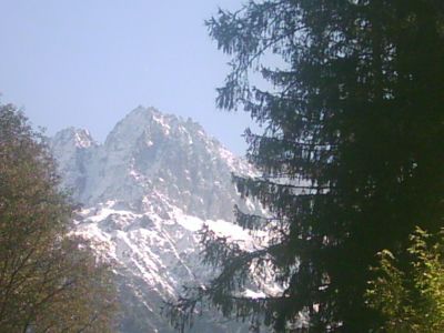 Affitto appartamento PONTEDILEGNO