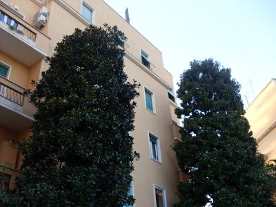 CITTA' GIARDINO