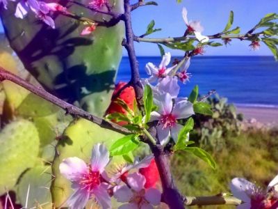 SICILIA - Casa Vacanza in villa tra mare, natura e barocco