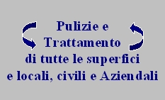 Pulizie Trattamenti e Lucidatura