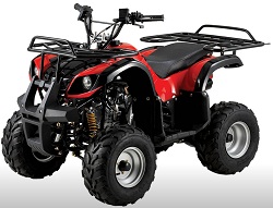 Vendo:mini atv 110cc