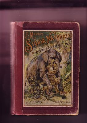 STORIA NATURALE ILLUSTRATA libro 1897