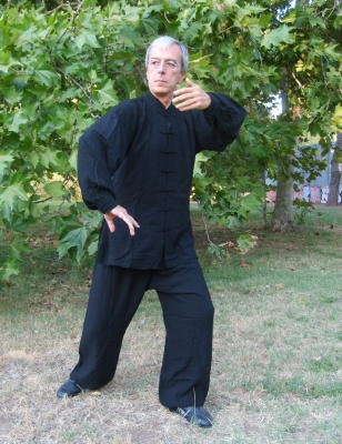 TAI CHI CHUAN LEZIONI GRATUITE ZONA EUR-LAURENTINA