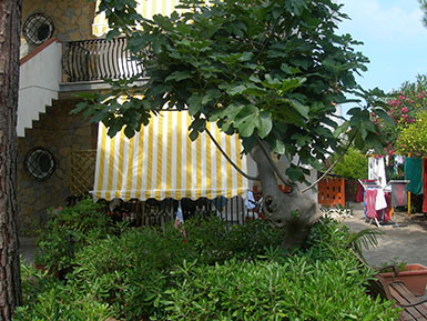 VACANZA A SANTA MARIA DI CASTELLABATE